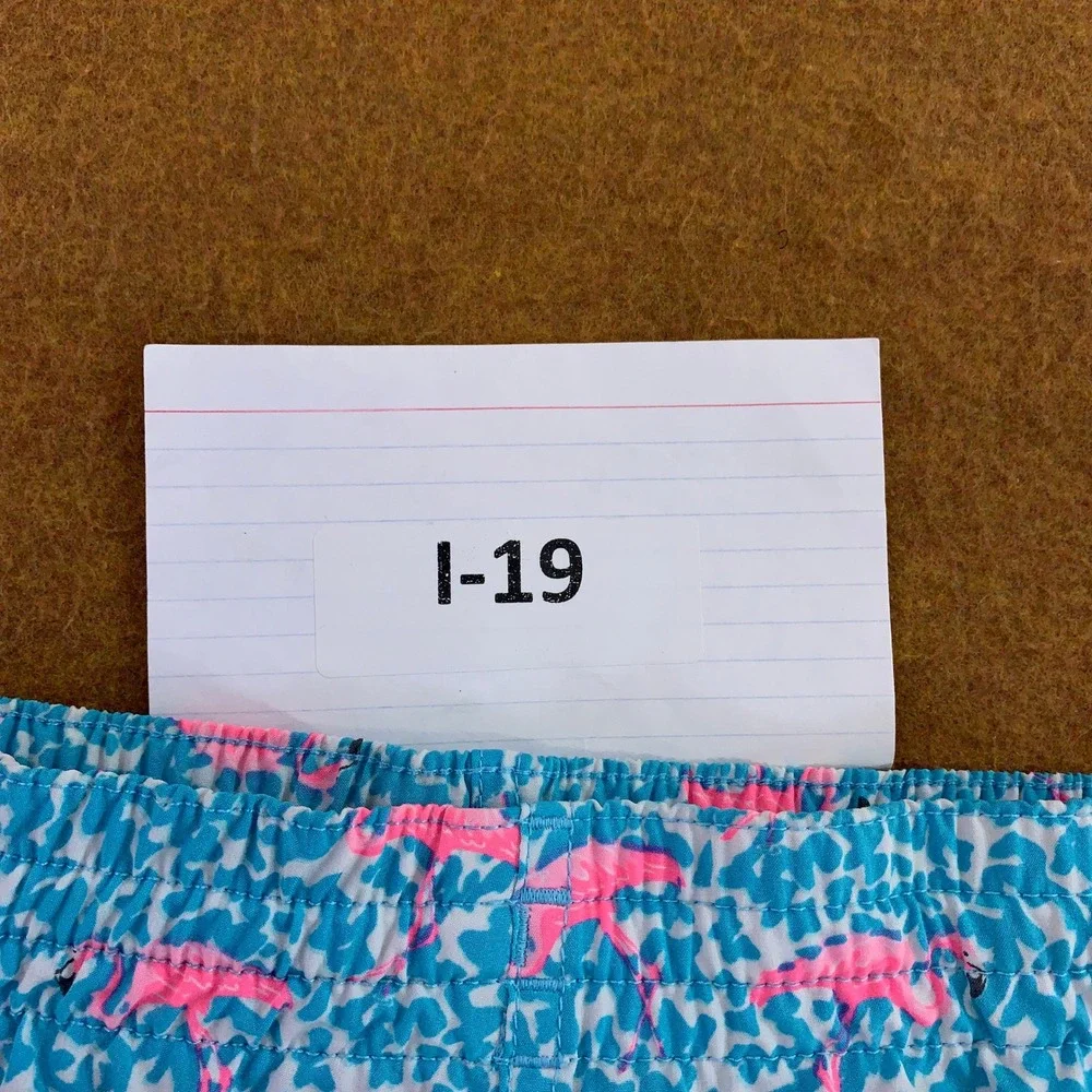 chubbies swim trunks
